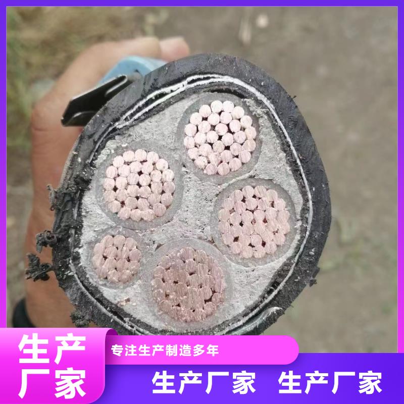 重信誉废旧电线电缆线回收生产厂家优质原料