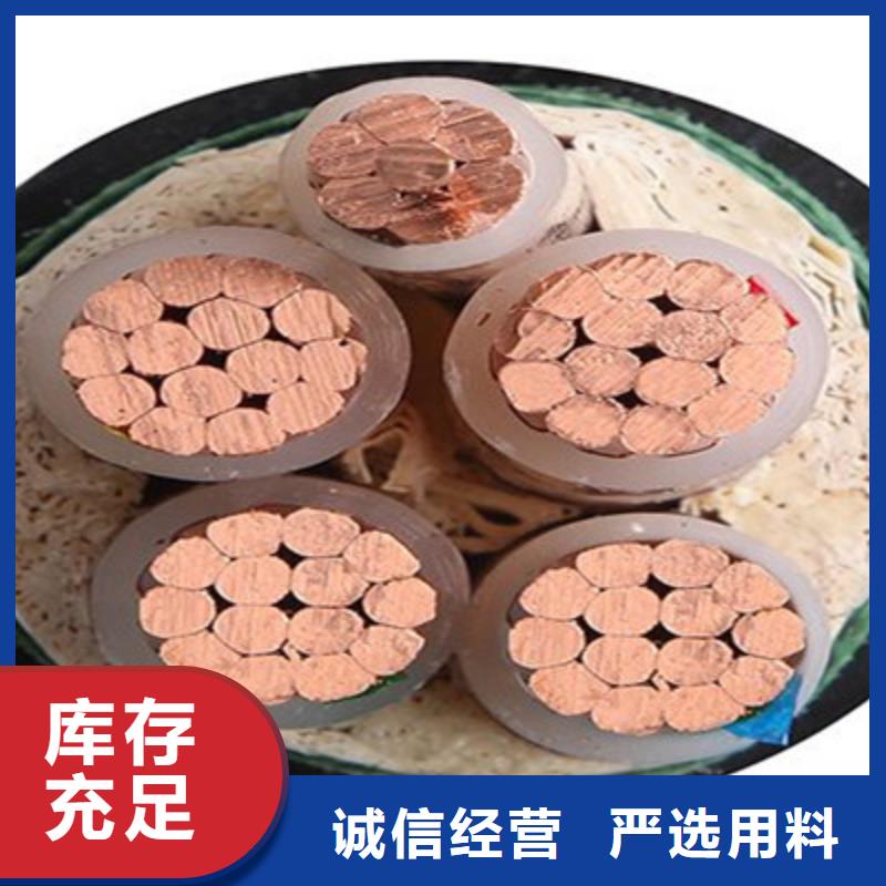 价格合理的优质ZR-DJYPVP2X2X1.0生产厂家本地公司