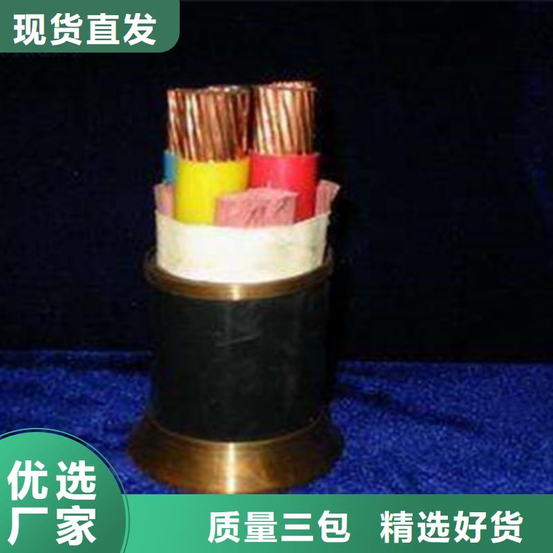 TJRX35平方镀锡软铜绞线高端定制当地厂家
