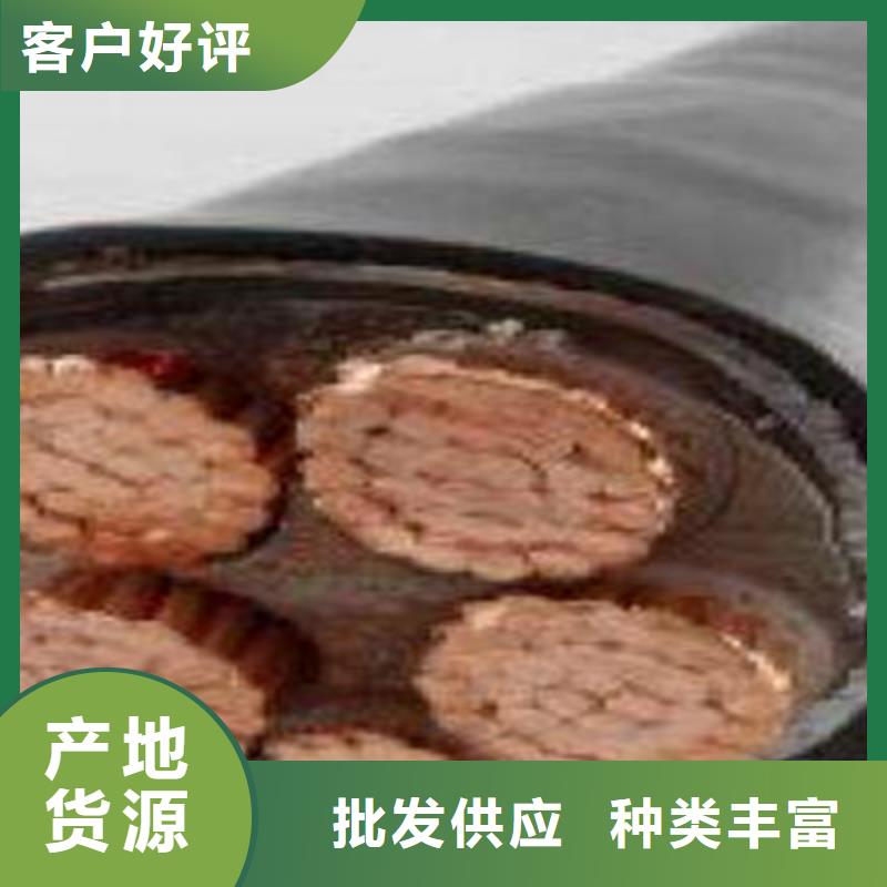 天津市电缆总厂分厂djypv计算机电缆厂家价格低交货快好品质售后无忧