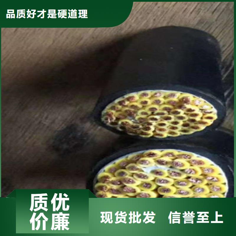 生产屏蔽通讯电缆实拍图片_实力厂家定制批发