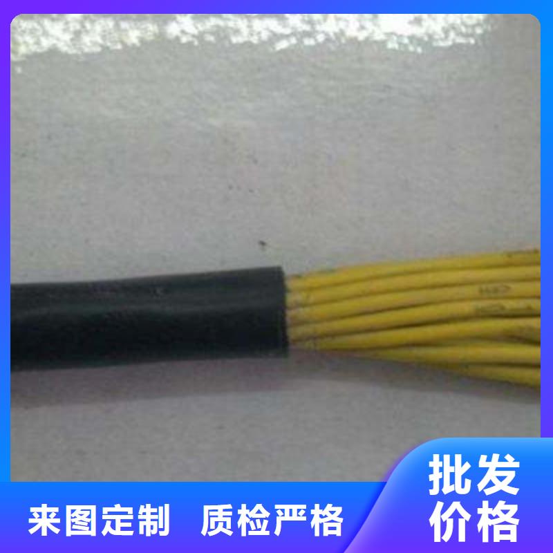 双钢丝控制电缆HCX量大从优当地厂家