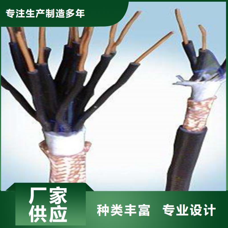铠装控制总蔽线DJYVP22-品牌厂家满足客户需求