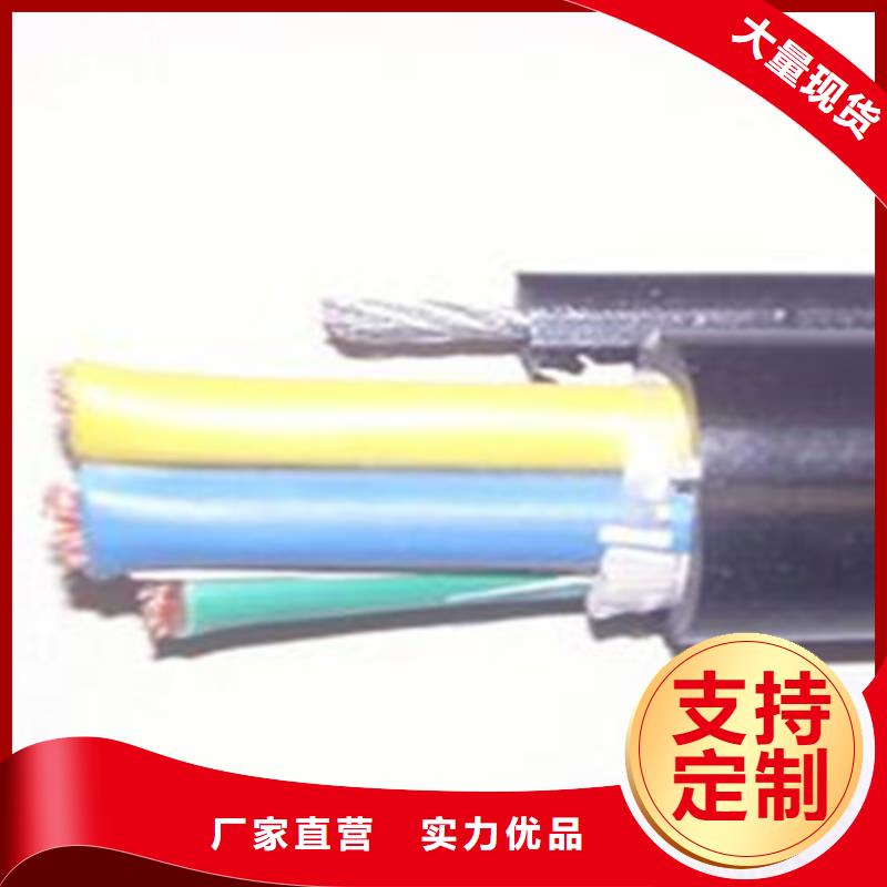 阻燃铠装电缆ZR-RVV欢迎询价老客户钟爱
