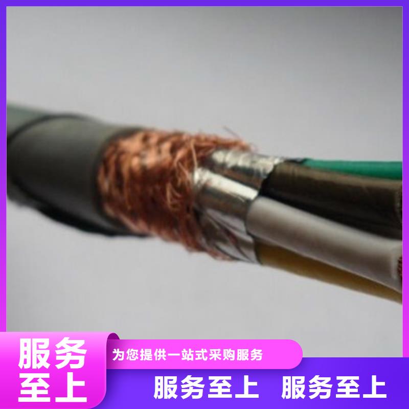 TASTP2X0.5双绞电缆0元寄样厂家自营