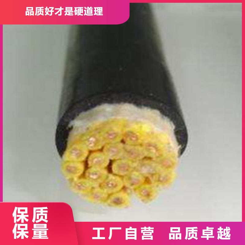 CNH-DW-YVRP92特种电缆实力雄厚好产品有口碑