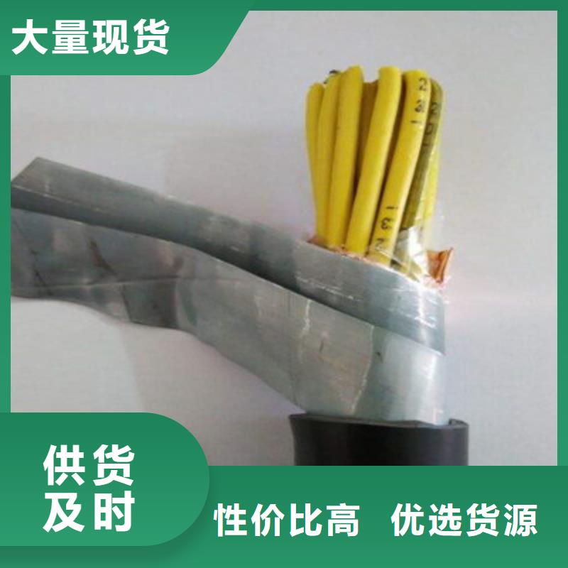CAN-DW-RS485/92特种电缆供应商本地经销商