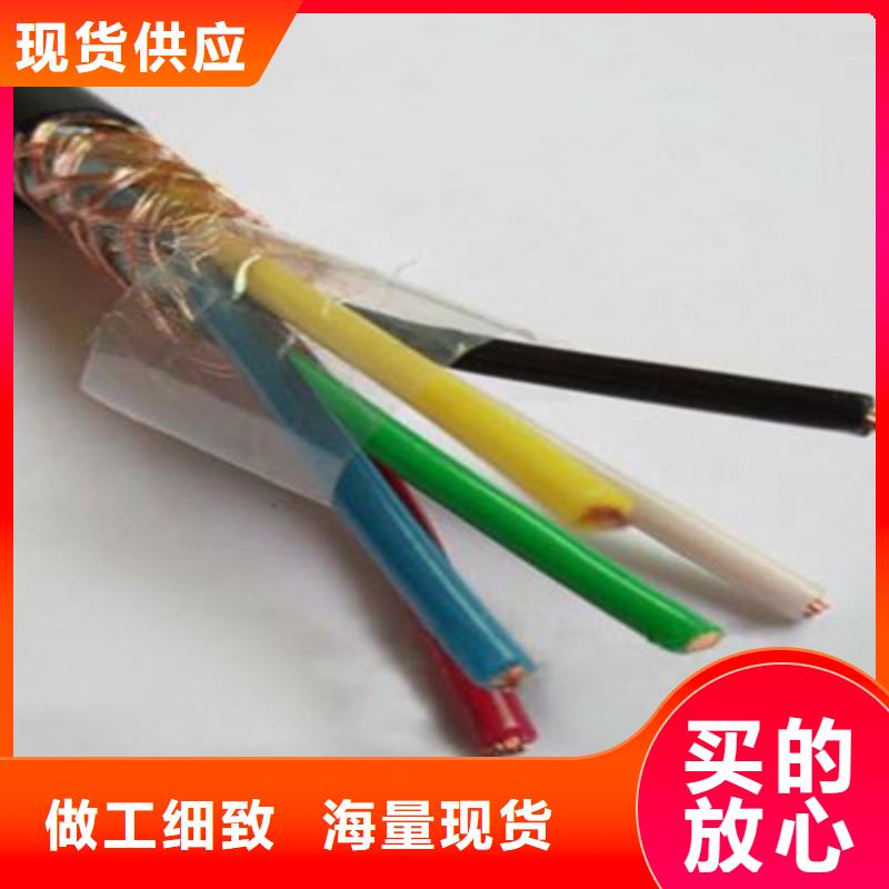 ZRVVRPX阻燃镀锡电缆来厂考察当地制造商