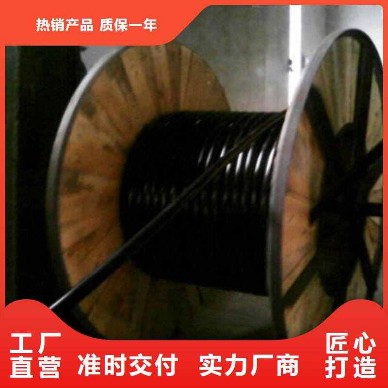 MODBUS通讯电缆来电咨询同城生产商