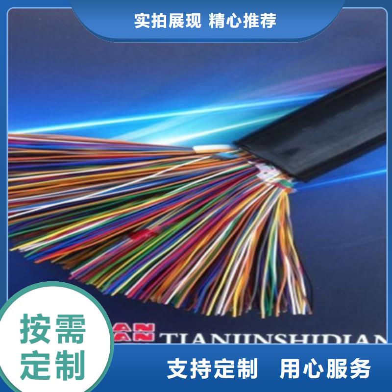 FF总线电缆1X0.3支持定制批发