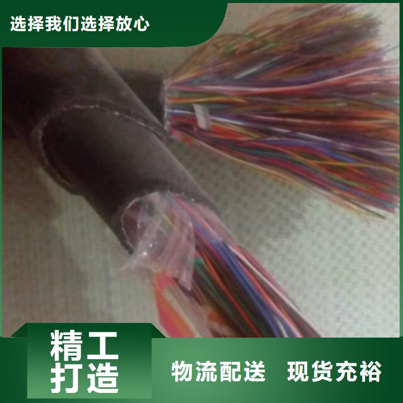 STP-120镀锡通讯电缆1X0.2品质优良