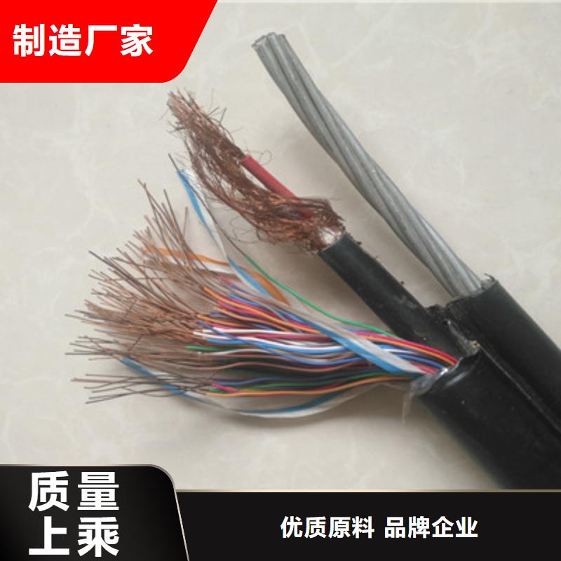 2X5L阻燃铠装屏蔽网线10X0.2当地货源