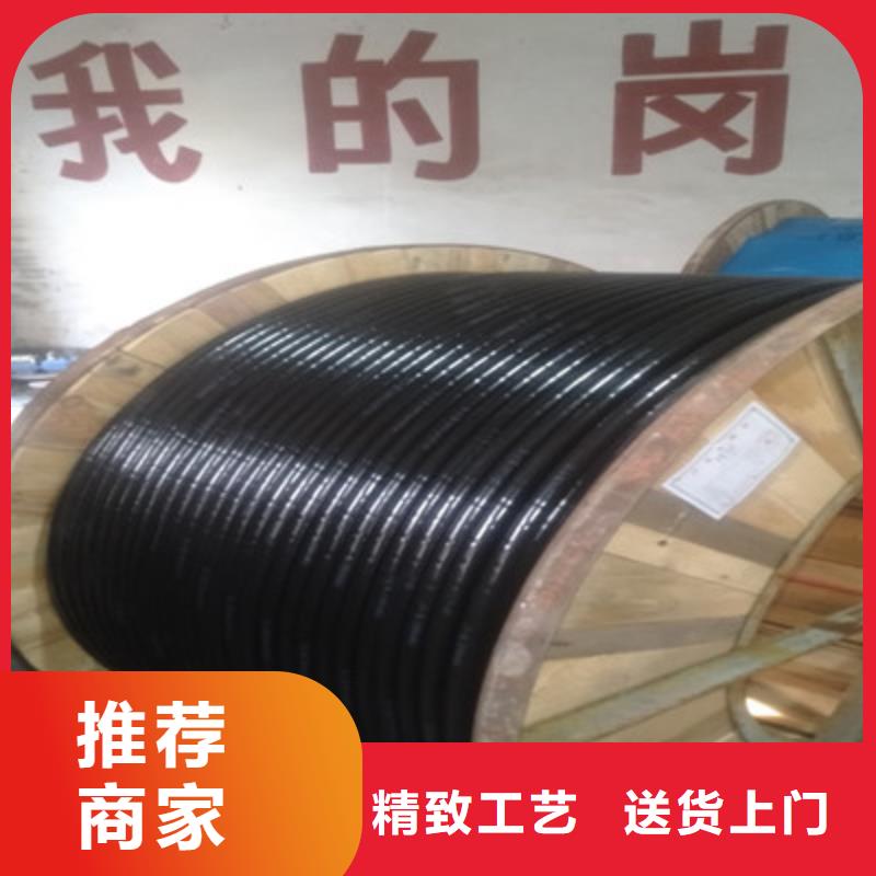 总线电缆3076F口碑好自营品质有保障