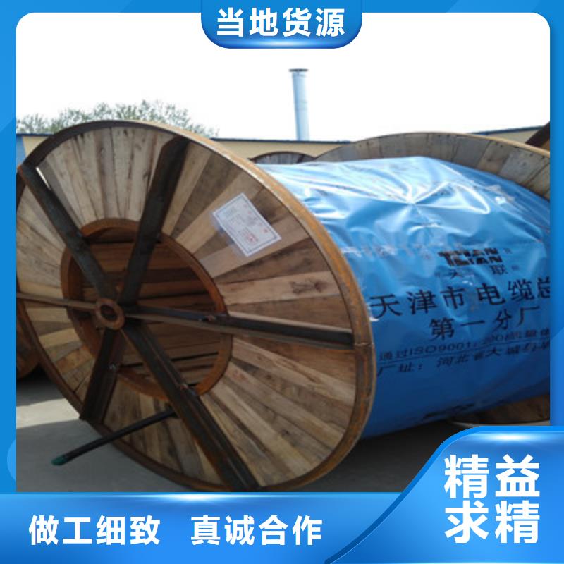 KZ-219413-AS-ROHS铠装网线批发当地供应商