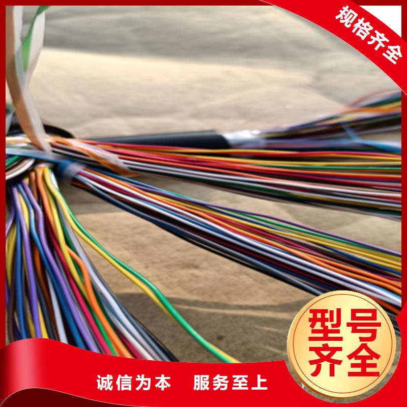 GS-HTPVRS屏蔽电缆6X2X0.4实体诚信厂家