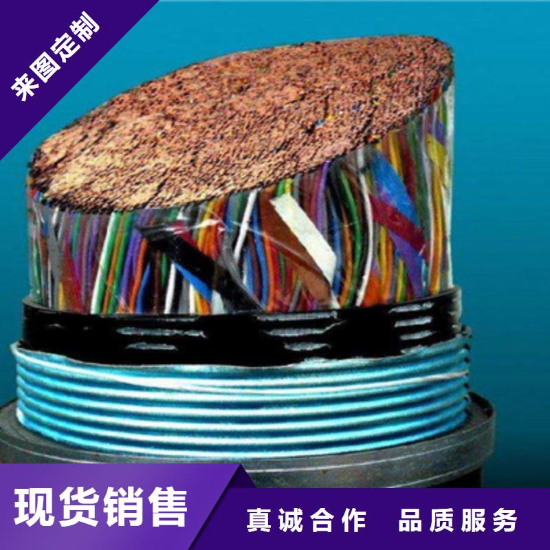 BVVSP软芯双绞电缆实力老厂厂家销售