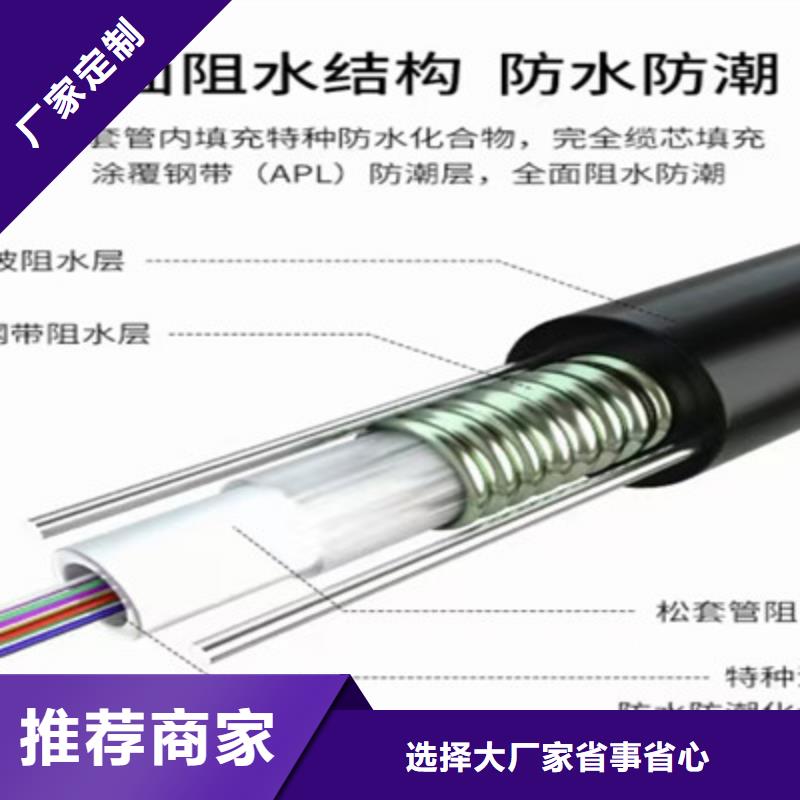 CAN-BUS通讯线缆5对0.3品种全
