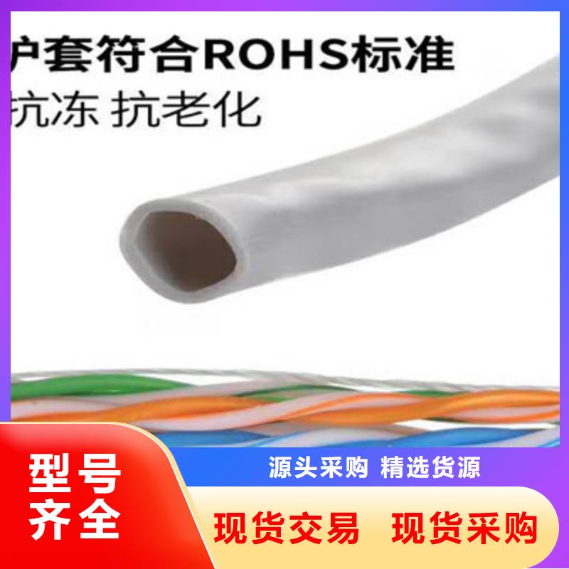 KZ-219413-AS-ROHS铠装网线10X2.5诚信经营