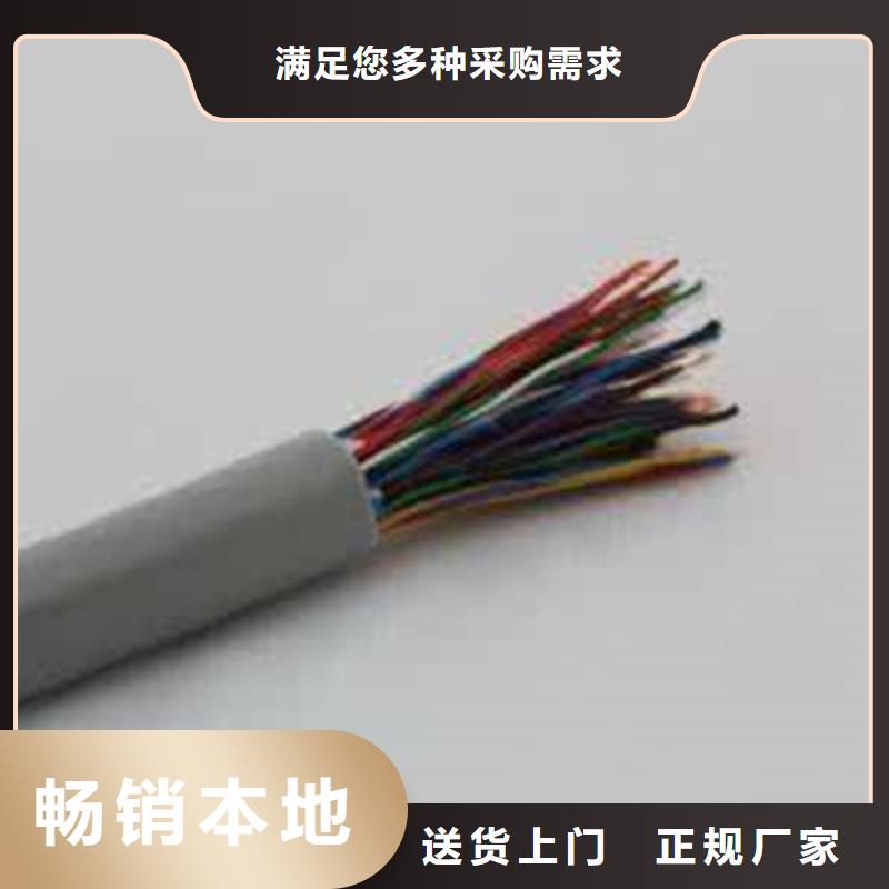 STP-120镀锡通讯电缆来厂考察本地经销商