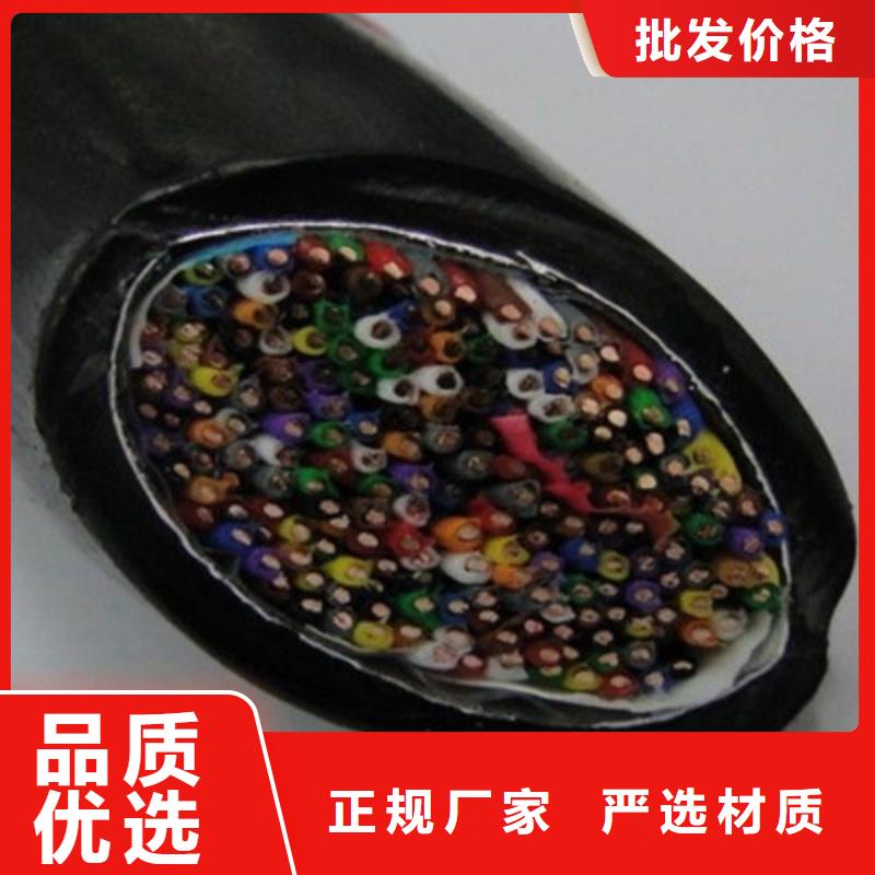 STP-120镀锡通讯电缆2对1.5实力商家