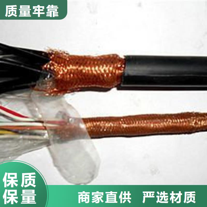 铠装计算机电缆DJYJVP14X2X0.75实力派厂家