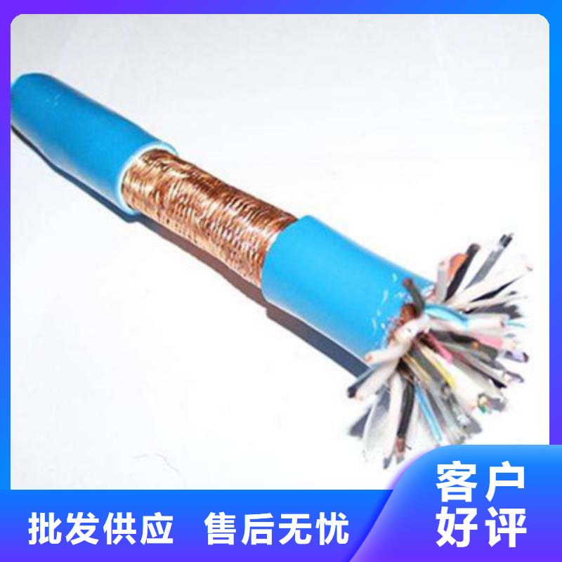 计算机屏蔽电缆DJVP2VP2-22现货供应_规格全本地公司