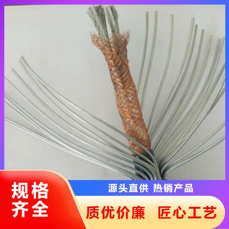 计算机屏蔽电缆DJYJP2VR19X2X0.75让客户买的放心