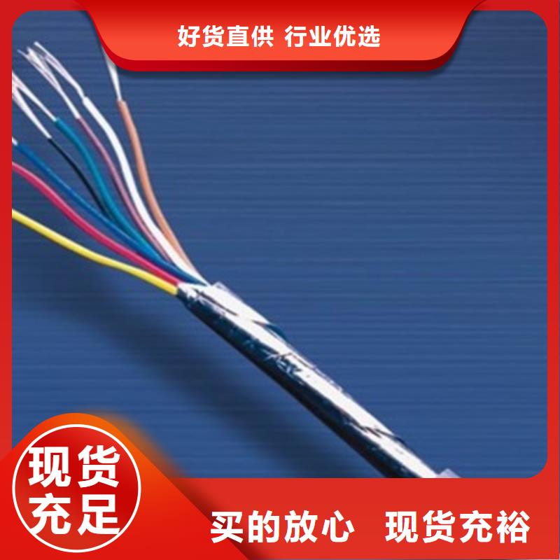 低烟无卤计算机电缆WDZ-DJYJVP28X2X1.0当地生产商