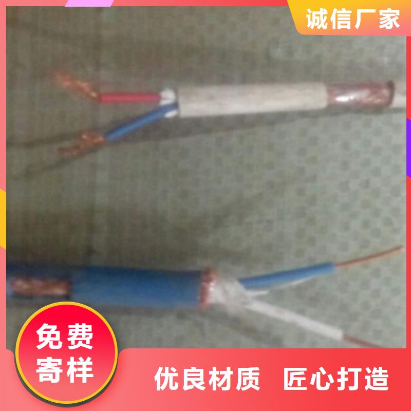 ​低烟无卤计算机电缆WDZ-DJVPVP2224X2X1.0工艺精细质保长久