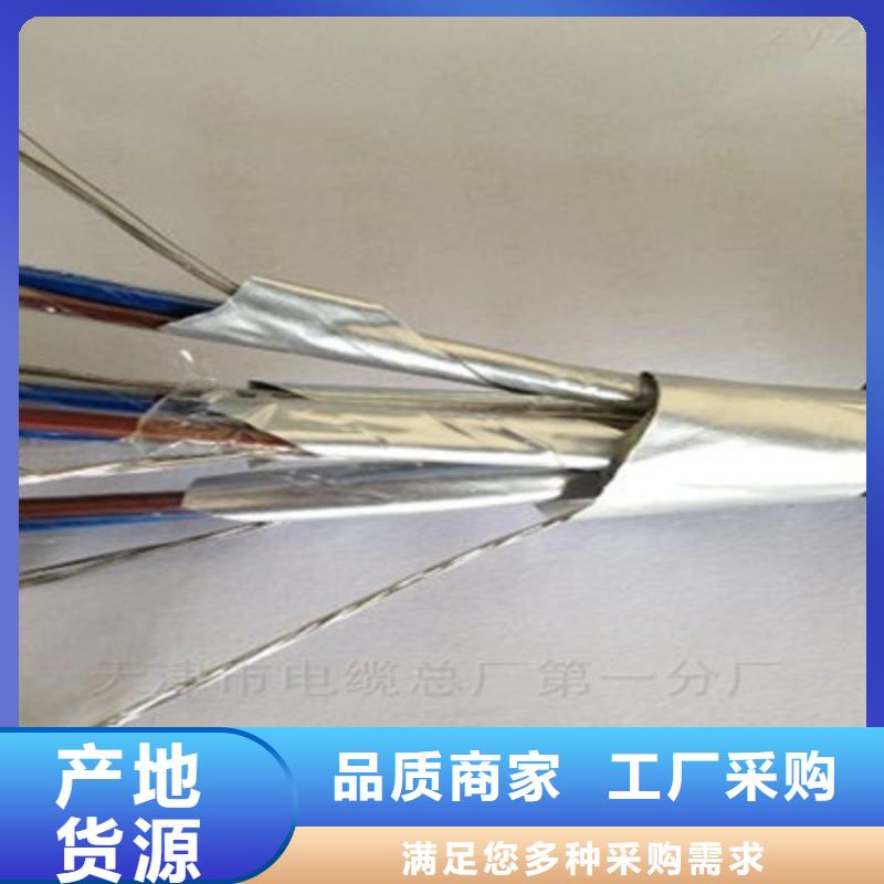 阻燃计算机电缆ZR-DJVP3V2212X2X2.5现货供应