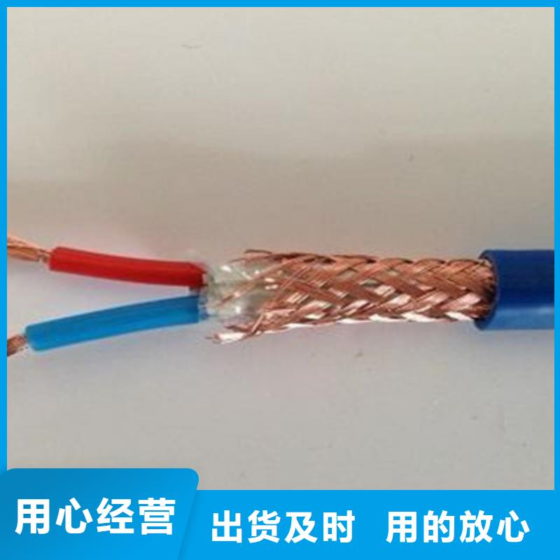 计算机屏蔽电缆DJVP1V-TR-诚信为本同城服务商