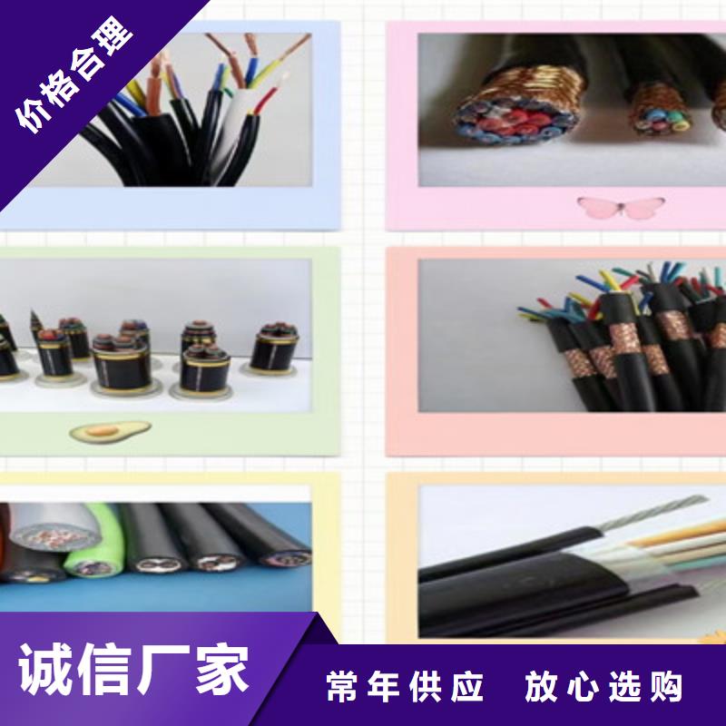铠装计算机电缆DJYPCV厂家，基地厂家货源