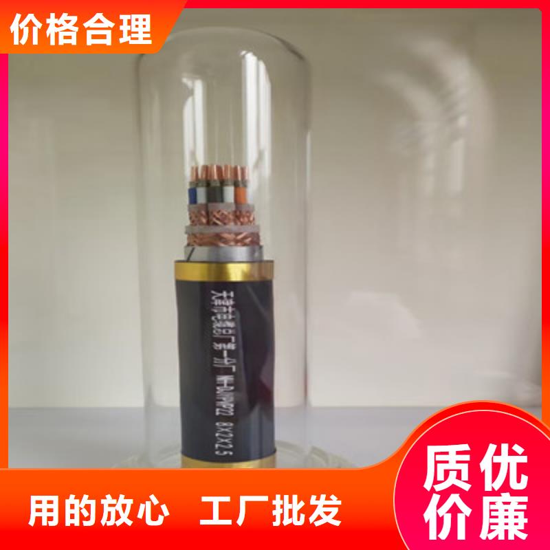 销售ZR-ZR-KJYYVRPL22阻燃计算机电缆当地供应商