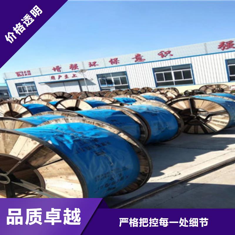 DJYJP3VP3R铠装计算机电缆找天津市电缆总厂分厂选择大厂家省事省心