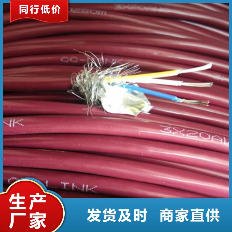 铠装计算机电缆DJYJPVP选购经验本地生产商