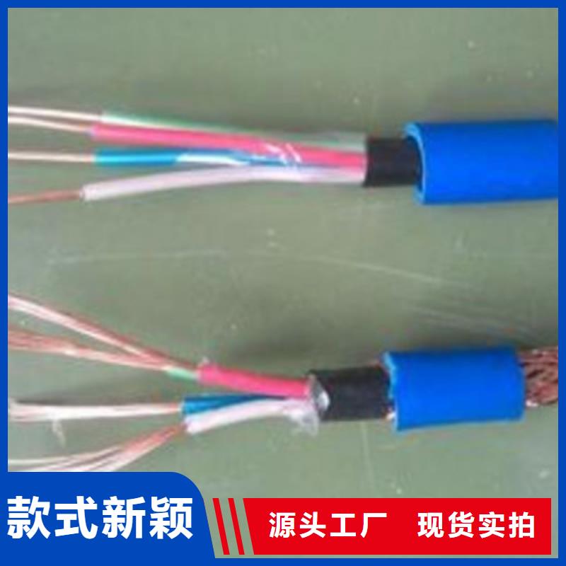铠装计算机电缆HBIYP2YVZ-III厂家质量过硬信誉至上