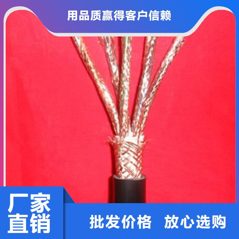 耐火计算机电缆NH-HBIYP2YVZ-III19X2X1.5欢迎来电询价