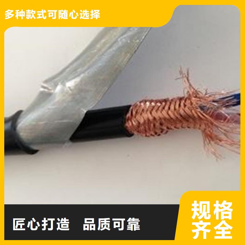 实力雄厚的ZR-JYPV32-2R铠装电缆厂家同城厂家