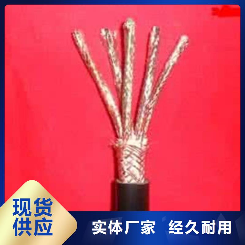 RYSPVP铠装计算机电缆-欢迎您实地大厂