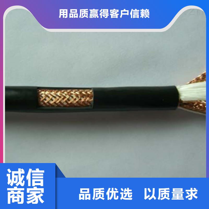 耐火计算机电缆NH-HBIYP2YVZ22-II19X2X2.5价格有优势