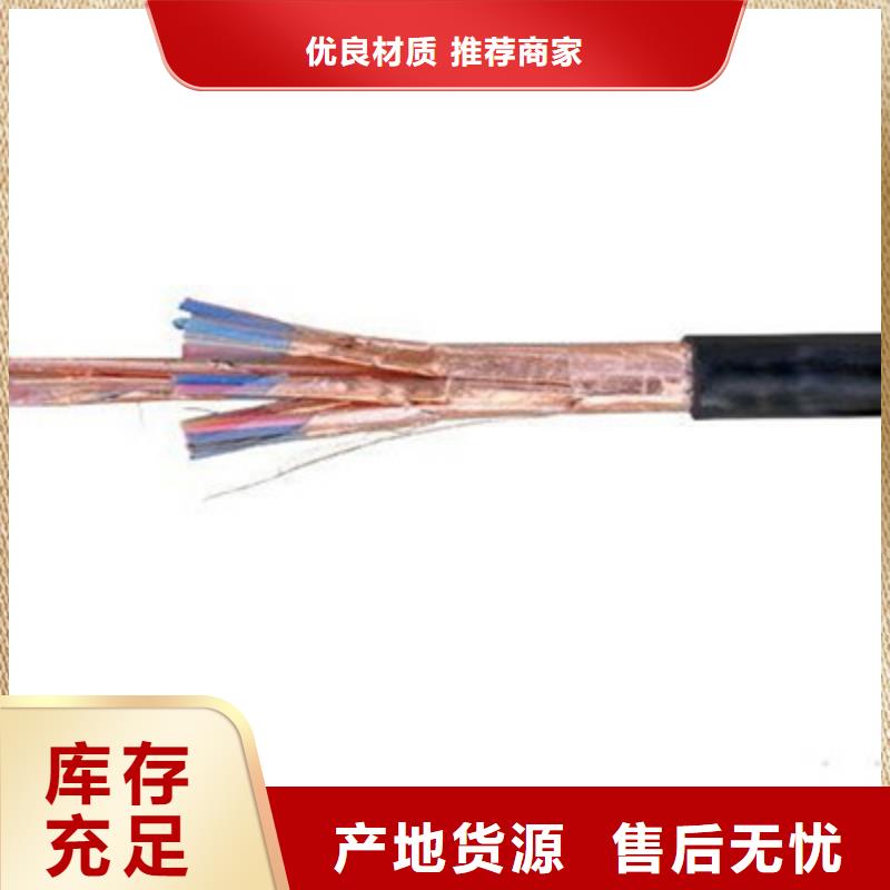 耐火计算机电缆NH-DJYJP2V6X2X2.5当地公司