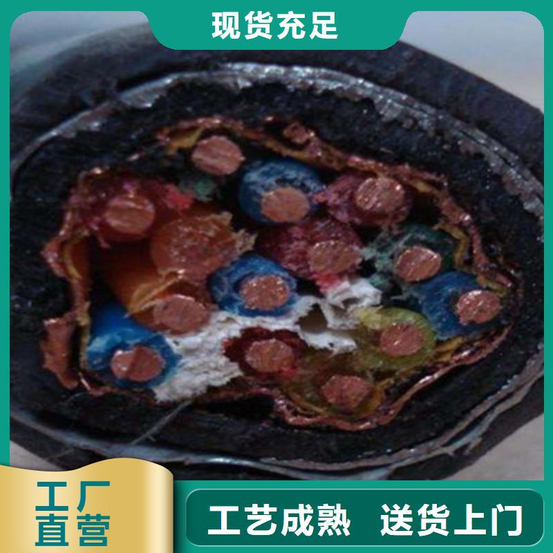 耐火计算机电缆NH-DJYJP2VR12X2X2.5专业生产团队