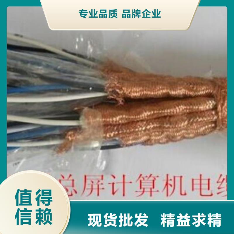 计算机屏蔽电缆DJVP3VR3X0.75敢与同行比服务