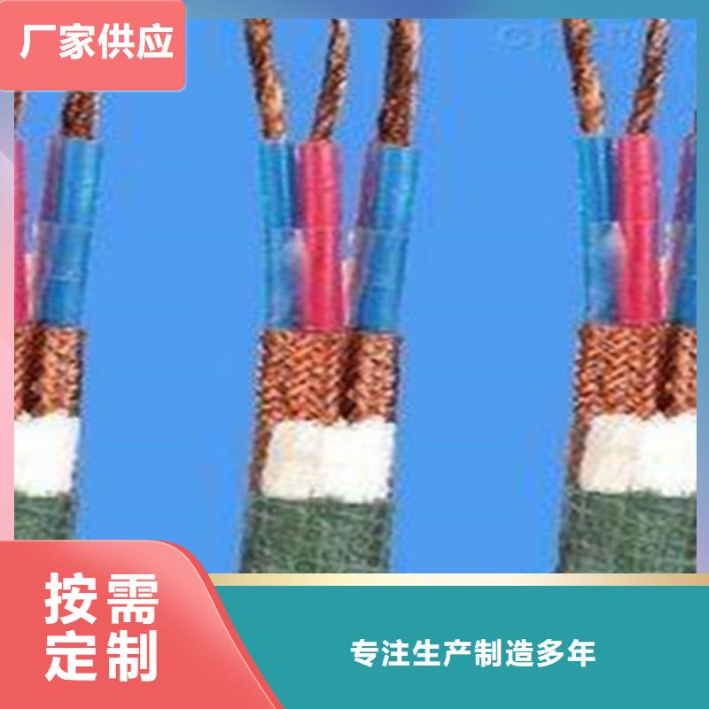 阻燃计算机电缆ZR-DJVP1V-TR材质客户好评