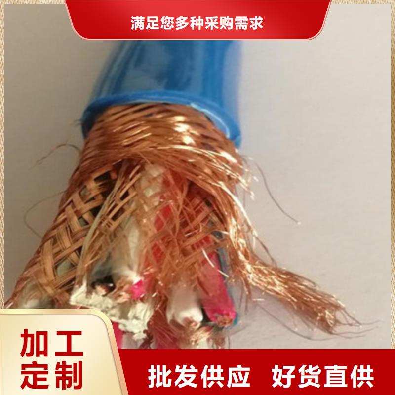 的阻燃计算机电缆ZR-DJVP1V-TR厂家规格型号全
