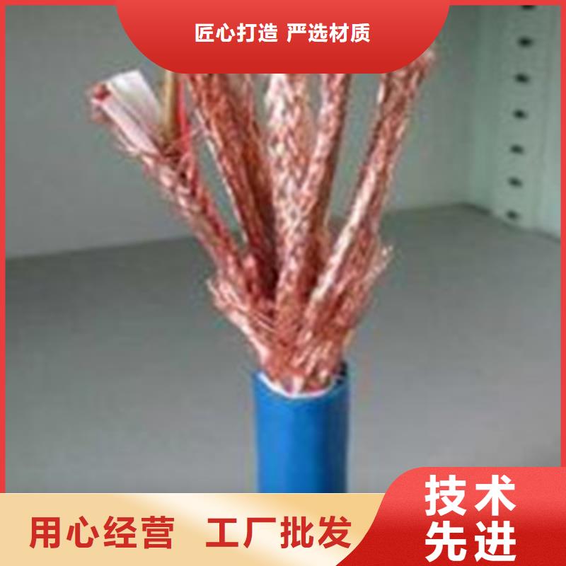 阻燃计算机电缆ZR-DJYP2V22公司发货快当地供应商