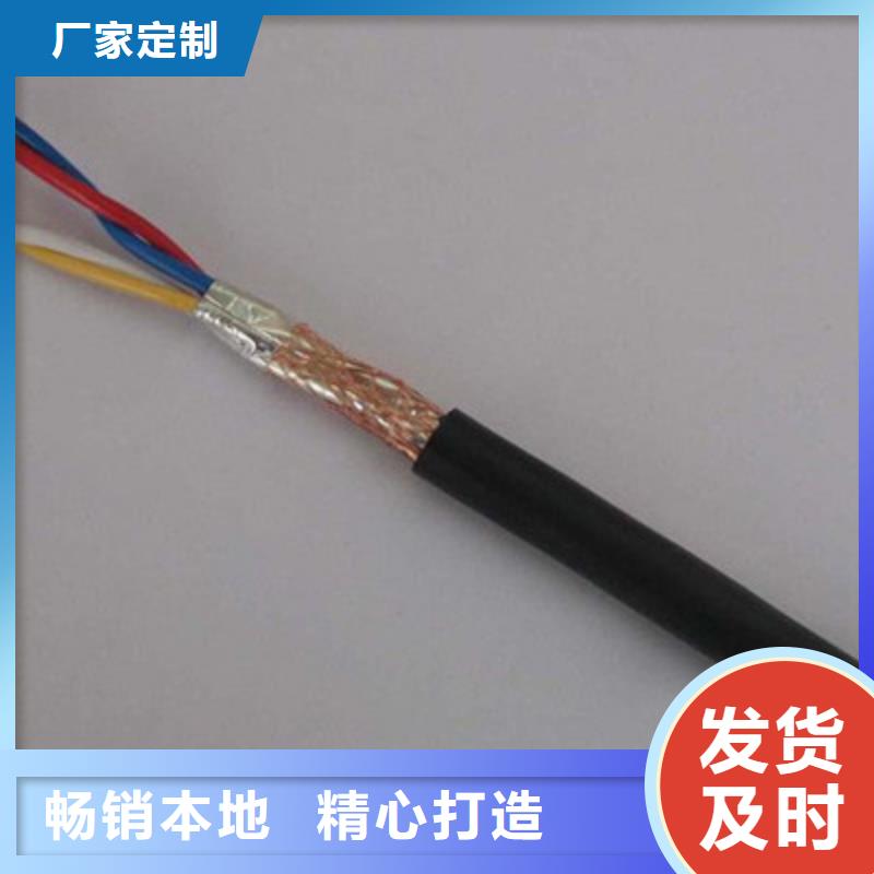 阻燃计算机电缆ZR-DJVVP3-22质量保证质量安心
