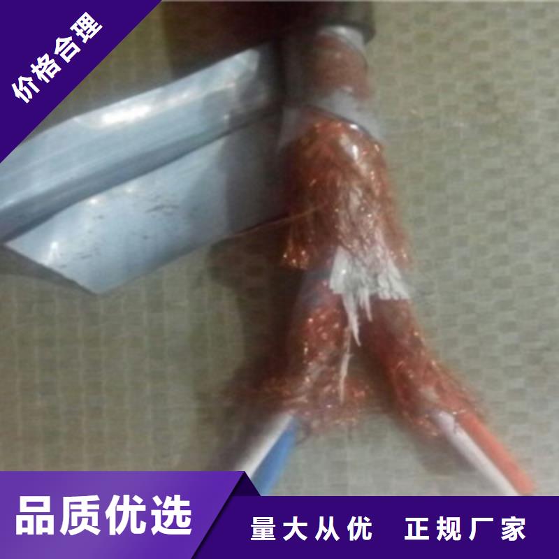 耐高温线DJFFP14X2X2.5同城厂家
