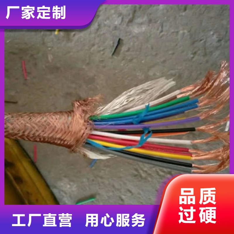 DJFPVF耐高温计算机电缆为您服务信誉有保证
