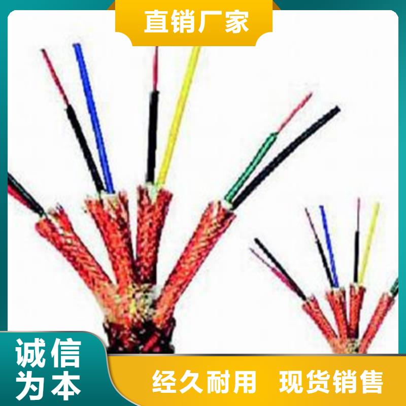 耐高温计算机电缆DJFFRP2源头好货精致工艺